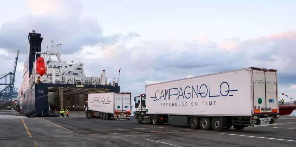 خط الرورو.. نقلة نوعية في منظومة تصدير الحاصلات الزراعية المصرية إلى أوروبا