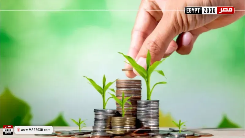 شهادات ادخار 