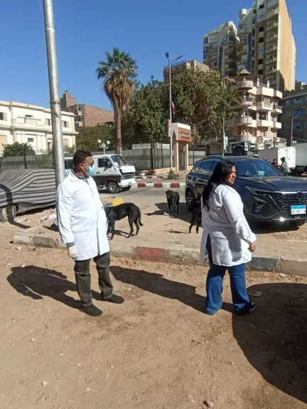 تحصين كلاب  الشوارع