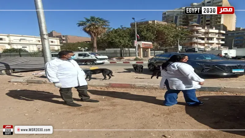 تحصين كلاب  الشوارع