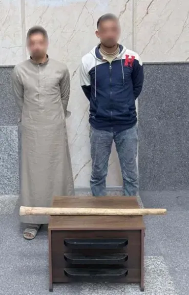 المتهمين 
