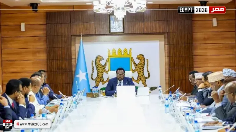 حكومة الصومال