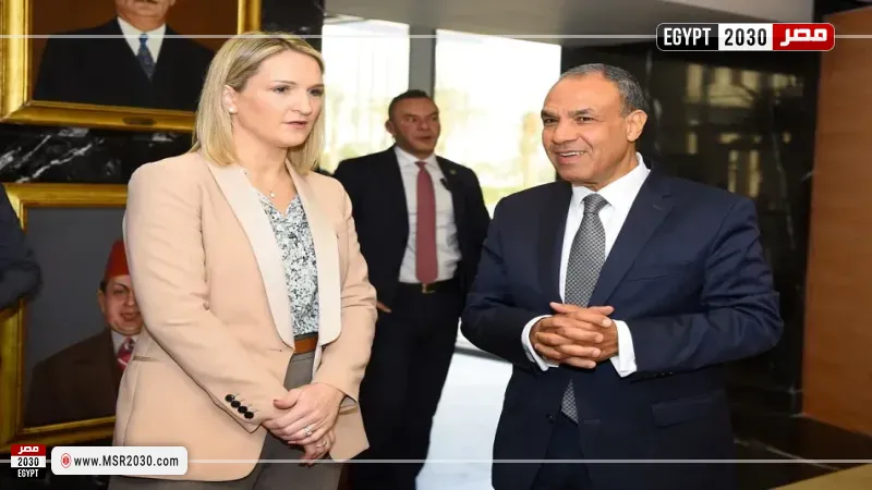مشاورات سياسية بين مصر وإيرلندا
