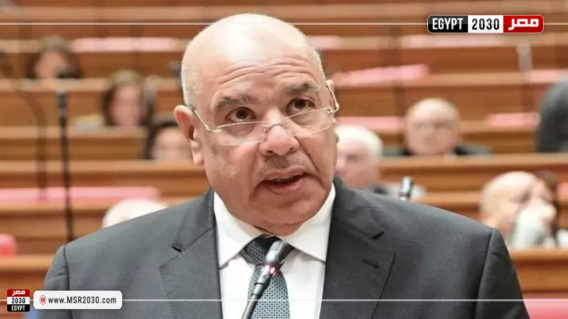  المستشار هشام بدوي