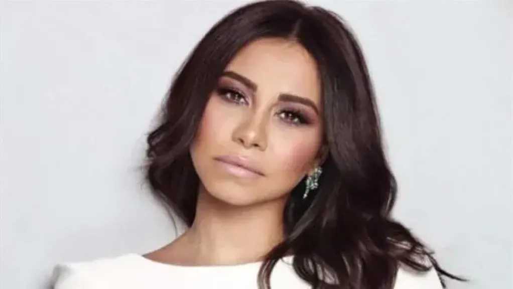 أولى جلسات محاكمة المتهم بالاستيلاء على صفحات الفنانة شيرين عبد الوهاب.. اليوم