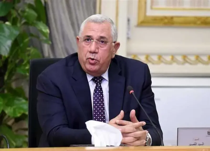 السيد القصير