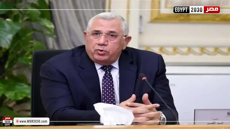 السيد القصير