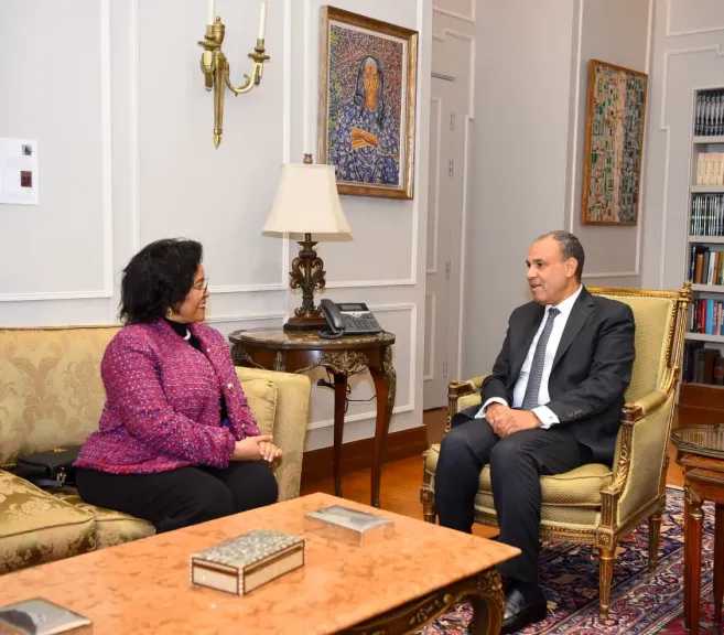 وزير الخارجية يبحث مع المديرة التنفيذية للنيباد سبل تعزيز التعاون التنموي في أفريقيا