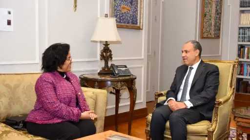 وزير الخارجية يبحث مع المديرة التنفيذية للنيباد سبل... وزير الخارجية يبحث مع المديرة التنفيذية للنيباد سبل تعزيز التعاون التنموي في أفريقيا