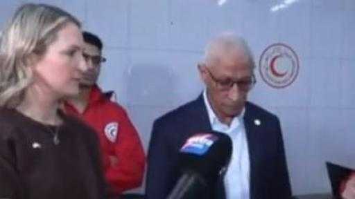 تفاصيل زيارة وزيرة خارجية أيرلندا برفقة محافظ شمال سيناء لتتفقد مراكز الهلال الأحمر المصري