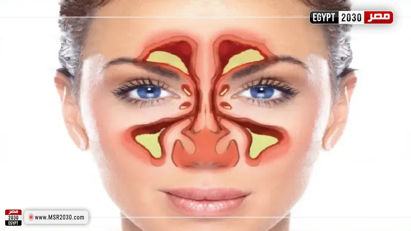 مصر 2030
