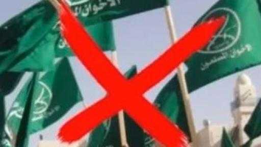 ضياء رشوان يوضح تداعيات تأثير القرار الأمريكي بتصنيف الإخوان منظمة إرهابية