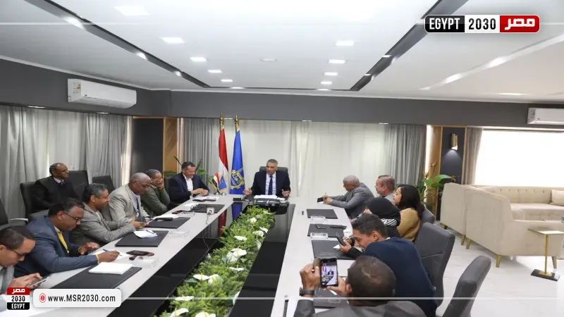 محافظ أسوان