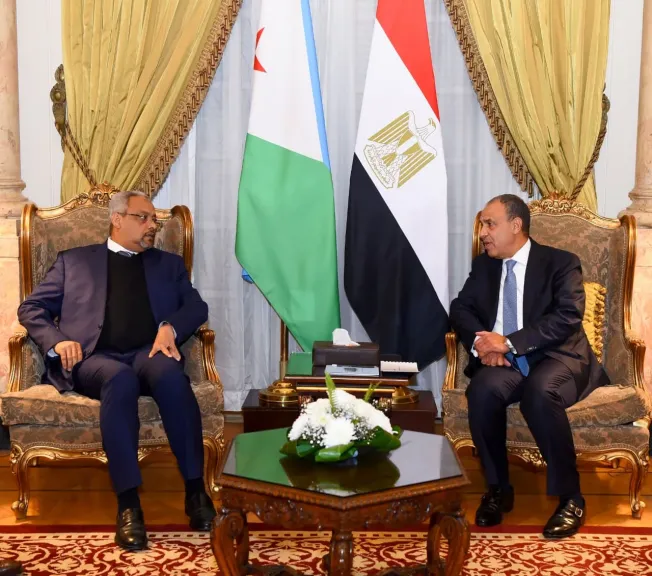 وزير الخارجية ونظيره الجيبوتي