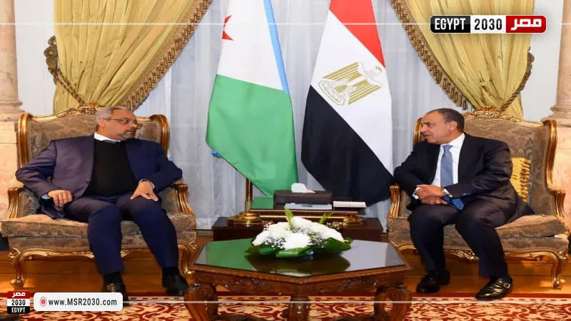 وزير الخارجية ونظيره الجيبوتي