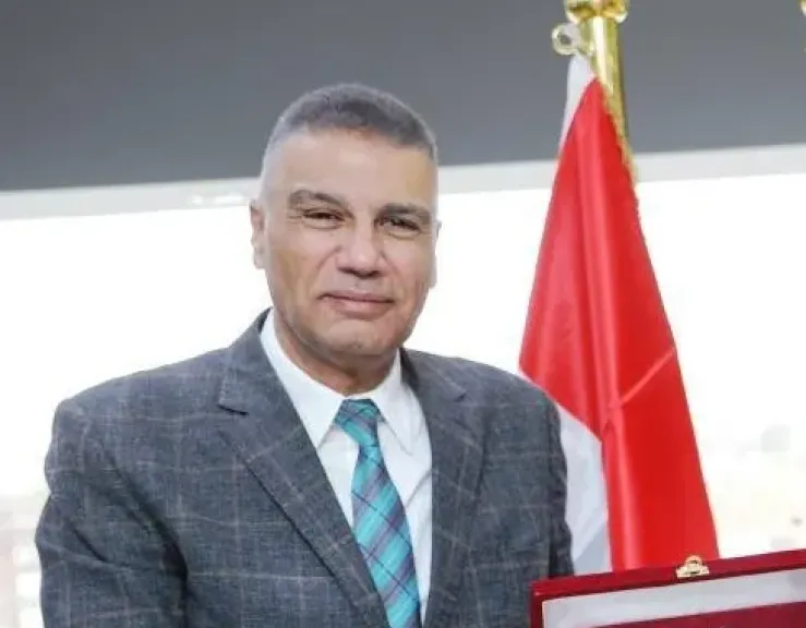محافظ أسوان