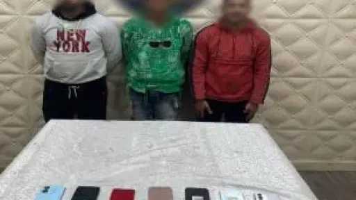 ضبط شخصين لسرقة الهواتف المحمولة بأسلوب المغافلة في السيدة زينب