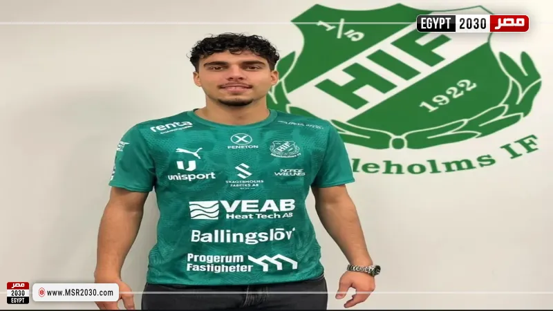 أنس الحملاوي