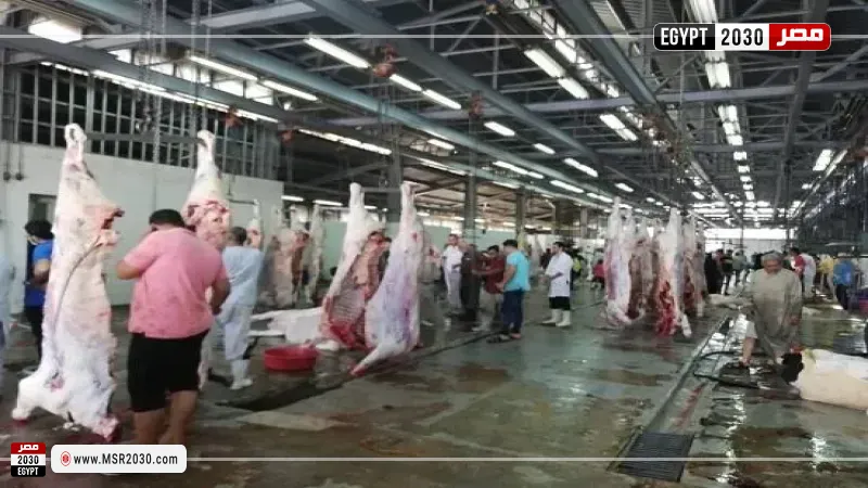 المجازر الحكومية