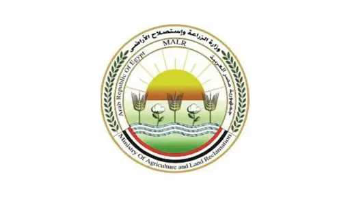 منها البرحي..الزراعة: توفير أنسجة وشتلات النخيل التصديري