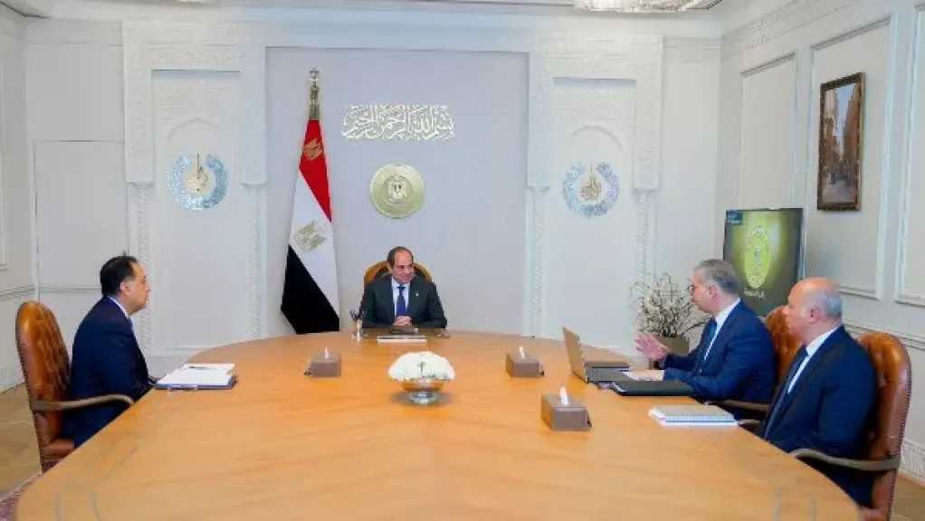 الرئيس السيسي يوجه بإطلاق أول مسح جوي شامل للثروات المعدنية في مصر