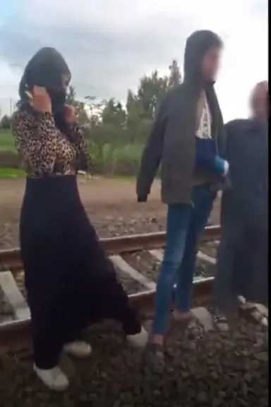 كشف ملابسات فيديو إلقاء حجارة على منزل بالشرقية وضبط أطراف الواقعة