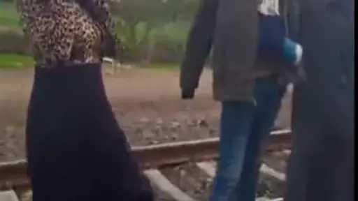 كشف ملابسات فيديو إلقاء حجارة على منزل بالشرقية وضبط أطراف الواقعة