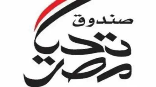المدير التنفيذي لصندوق تحيا مصر يكشف تفاصيل مساعدات الصندوق لأهالي غزة