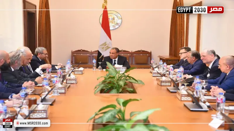 بدر عبد العاطي وزير الخارجية خلال الاجتماع