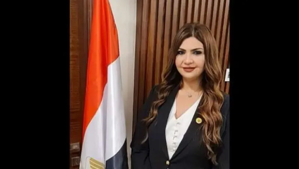 الدكتورة غادة البدوي، أمين سر لجنة التعليم بمجلس الشيوخ