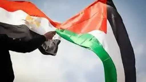 «عبدالعاطي»: مصر نجحت في تشكيل اللجنة الوطنية الفلسطينية لإدارة غزة وبدء ترتيبات عملها