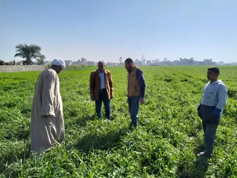 مشروعات التنمية الزراعية