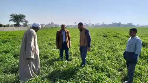 بحضور وزير الزراعة ورئيس اللجنة بـ«النواب».. ورشة عمل تناقش تقييم الأثر التشريعي لقانون 53