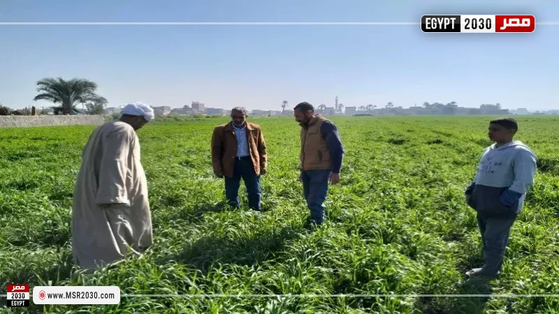 مشروعات التنمية الزراعية