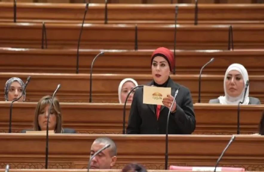 النائبة جيهان شاهين عضو مجلس النواب