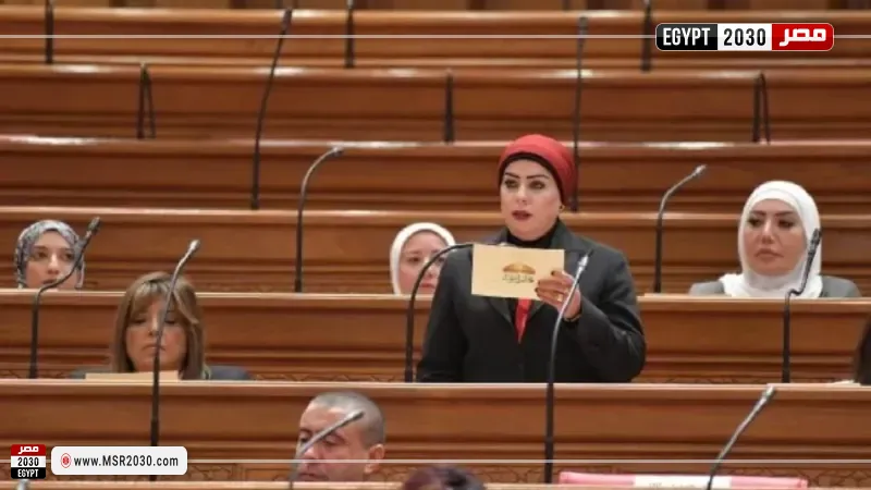 النائبة جيهان شاهين عضو مجلس النواب