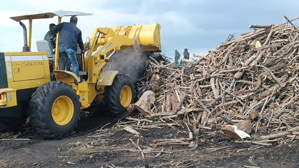 تنفيذا لتوجيهات محافظ الدقهلية.. لجنة للمرور والتفتيش على مكامير الفحم النباتي بمراكز المحافظة