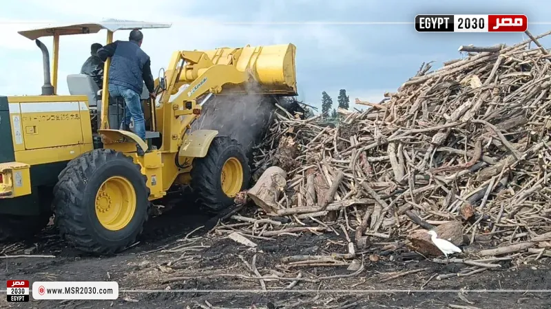 مكامير الفحم النباتي بالدقهلية