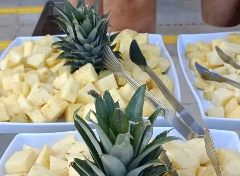 ​بمشاركة 12 شيفا ونصف طن فاكهة.. فنادق الغردقة تنظم مهرجان ”الأناناس” لإسعاد السياح