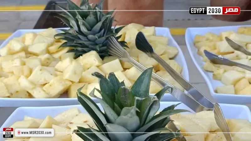 فنادق الغردقة تنظم مهرجان الأناناس