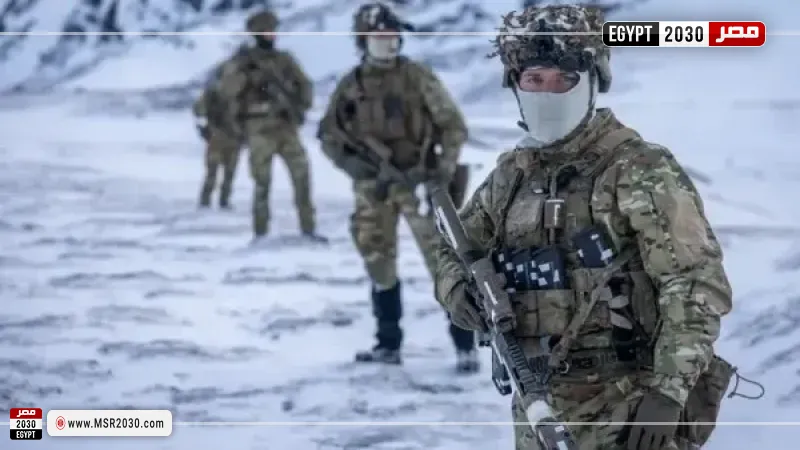 جنود دينماركيون