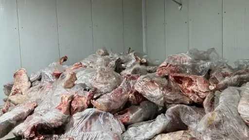 بيطرى المنيا : مصادرة 221 كجم لحوم غير... بيطرى المنيا : مصادرة 221 كجم لحوم غير صالحة ومذبوحة خارج المجازر