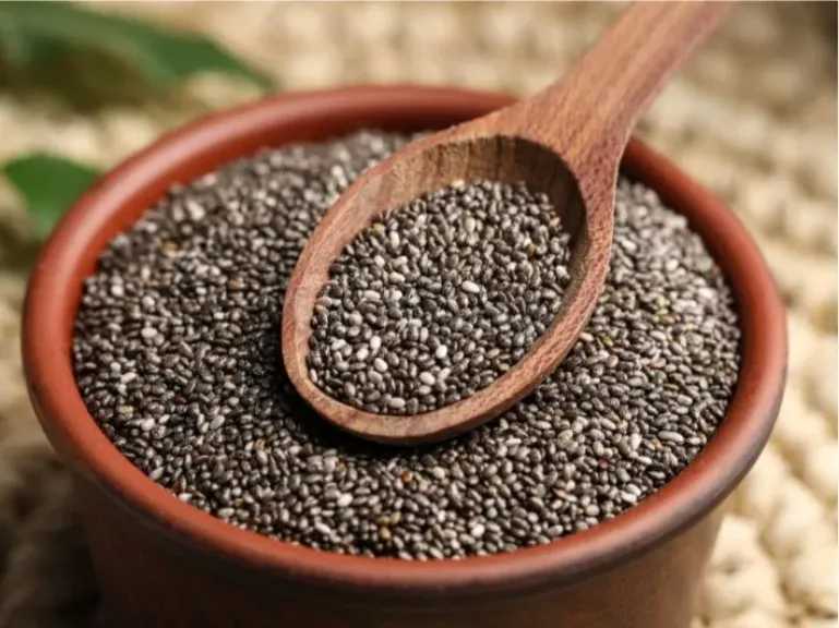 مؤلاء ممنوعين من تناول بذور الشيا