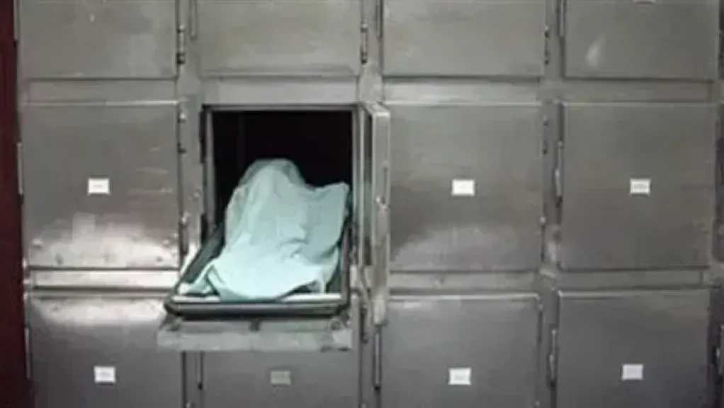 ضبط  متهمين بقتل شخص خلال مشاجرة في المطرية