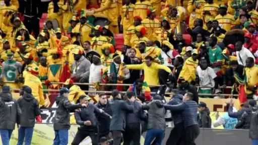 18 مشجعًا من السنغال ومواطن جزائري على ذمة... 18 مشجعًا من السنغال ومواطن جزائري على ذمة المحكمة بسبب أعمال عنف رياضية