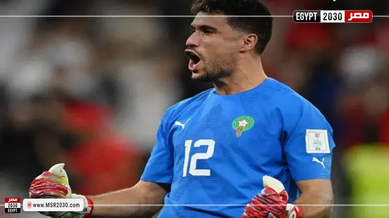 منير المحمدي