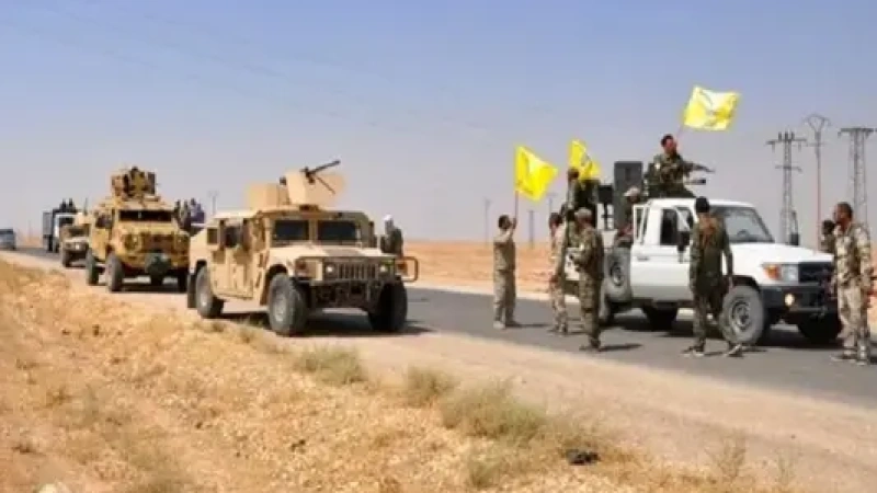 صورة أرشيفية