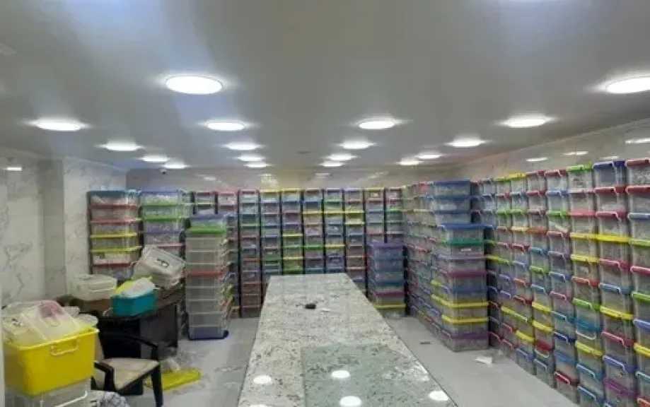 الداخلية تضبط 3.5 طن فضة وذهب مهربة ومقلدة بالإسكندرية