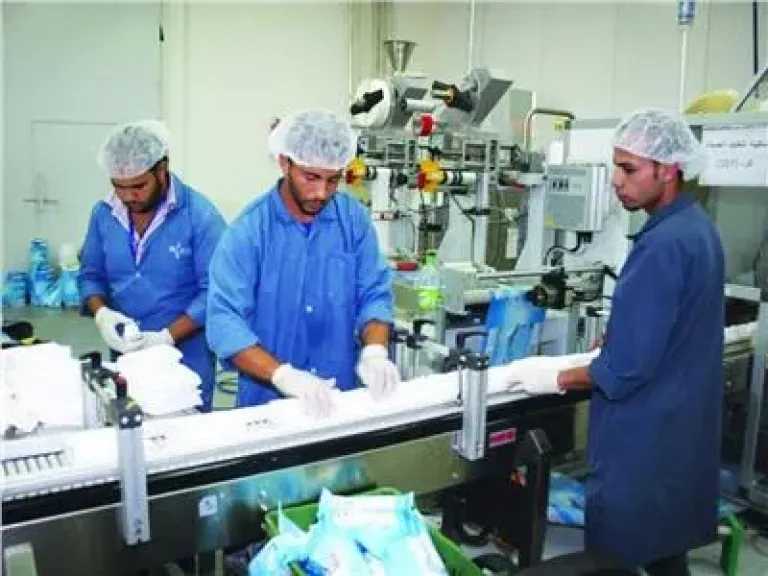 179 مليون جنيه لتمويل مشروعات صغيرة ومتناهية الصغر خلال العام الماضي بقنا