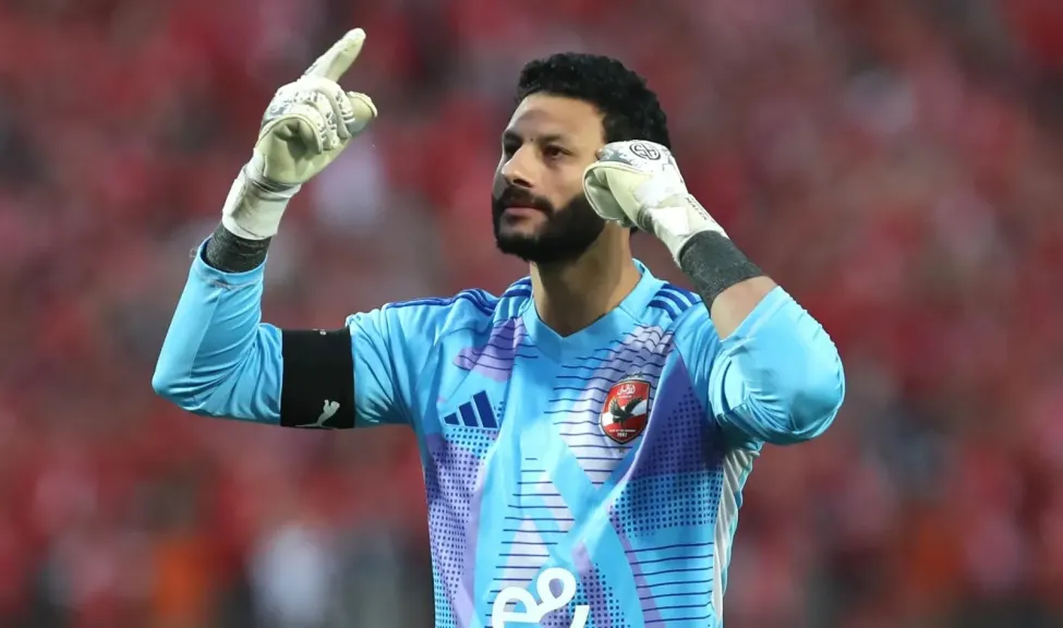 محمد الشناوي